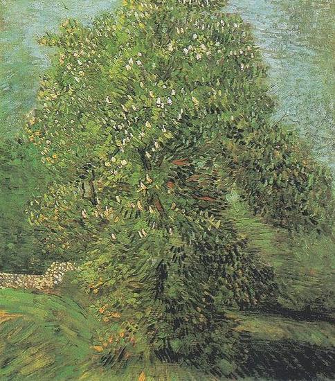 Vincent Van Gogh Blossoming Chestnut Tree oil painting image